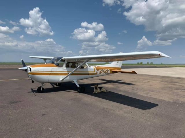 Cessna Skyhawk (N13228) - Charley was looking for shade.