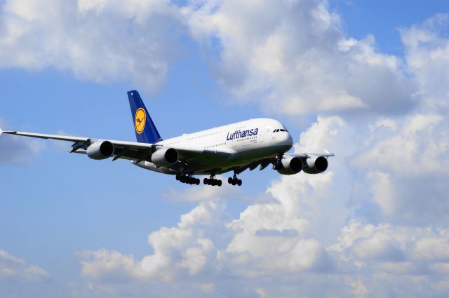 Airbus A380-800 (D-AIML)