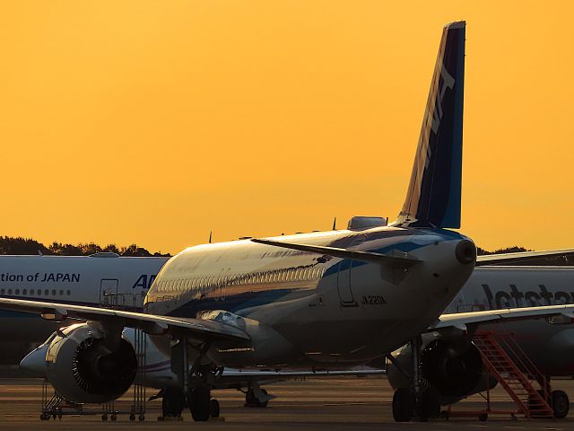 Airbus A320neo (JA220A) - I took this picture on Feb 19, 2020.br /NH492/19 Feb  NGO-NRT