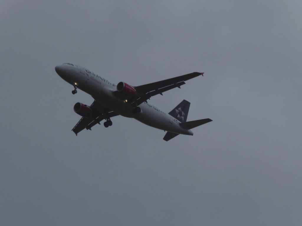 OE-LBZ — - Star Alliance painted Austrian A320-200 OE-LBZ on its flight OS129 from VIE due to landing on 25R FRA. Photo made in the noon of 18.02.2023 at Stadtwald highway rest camp.