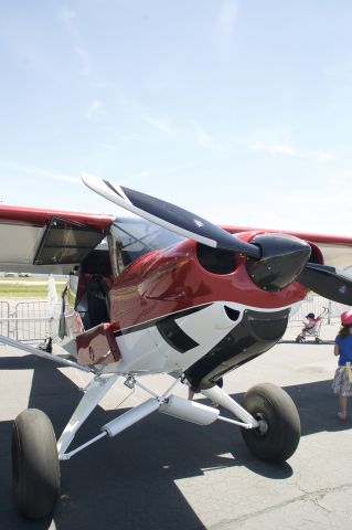 Piper L-21 Super Cub (N66DN)