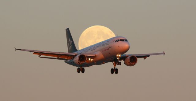 Airbus A320 (C-FDRK) - Air Canada Airbus A320-211 with Star Alliance livery landing in front of the near full blue moon