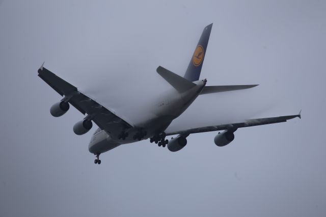 Airbus A380-800 (D-AIME)