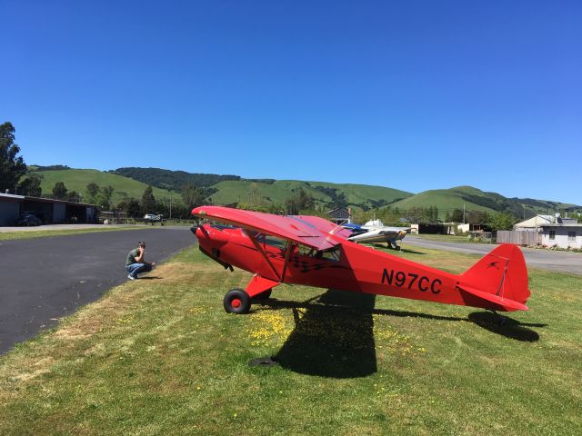 Piper L-18B Cub Special (N97CC)