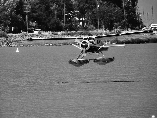 De Havilland Canada DHC-2 Mk1 Beaver —