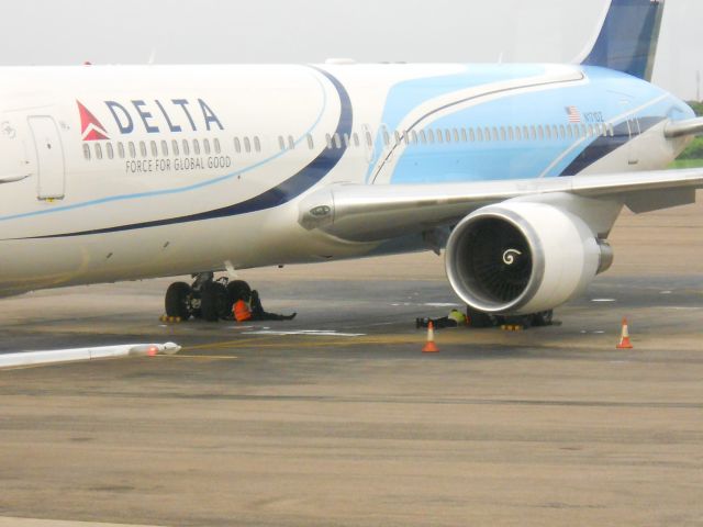 BOEING 767-300 (N171DZ) - Taking a nap under the airplane....