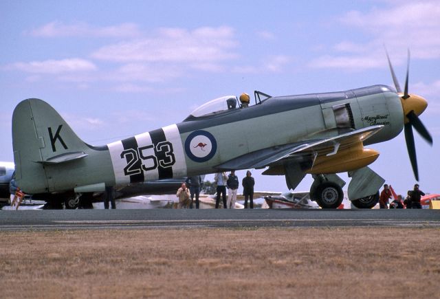 VH-HFA — - AUSTRALIAN NAVY - HAWKER SEA FURY FB11 - REG : VH-HFA / K253/WJ231 (CN 37703ISS23) - BALLARAT AIRPORT VIC. AUSTRALIA - YBLT 17/2/1985