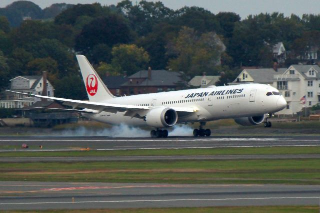 Boeing 787-8 (JA868J) - JAL 8 from Tokyo touching down on 22L