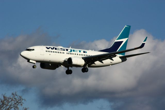 Boeing 737-800 (C-FCWJ)