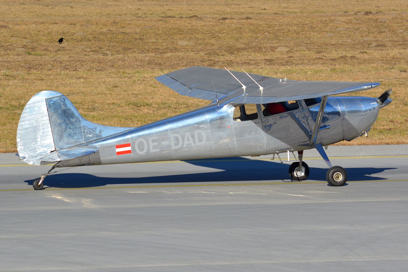 Cessna 170 (OE-DAD)