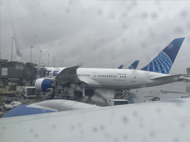 Boeing 787-8 (N45905) - United terminal parking at Dulles. We just arrived from Munich. 