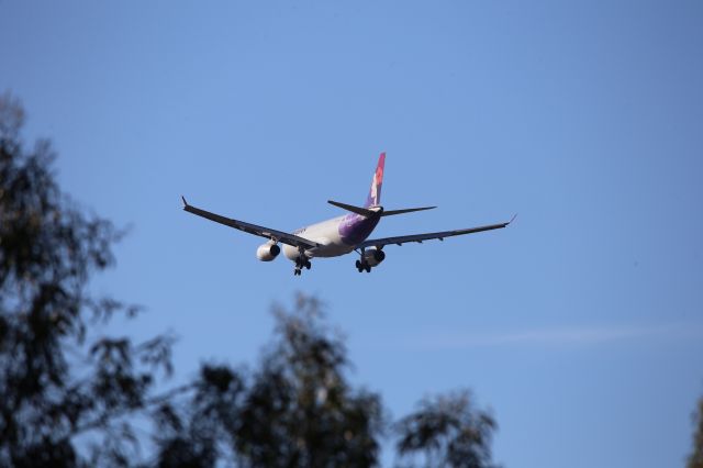 Airbus A330-200 (N374HA)