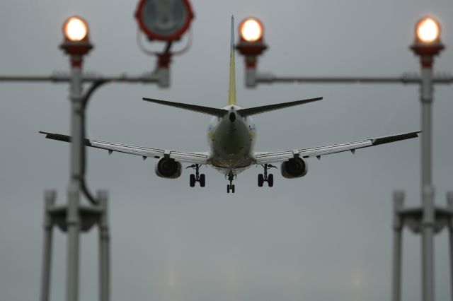 Boeing 737-500 (JA300K) - 17 June 2015:HND-HKD. HKD RWY 12.