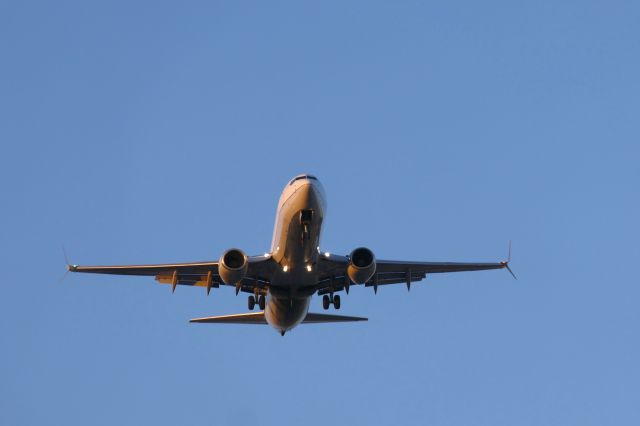 Boeing 737-800 (N33262)