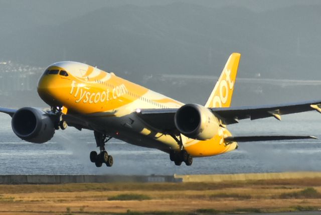 Boeing 787-8 (9V-OFC)