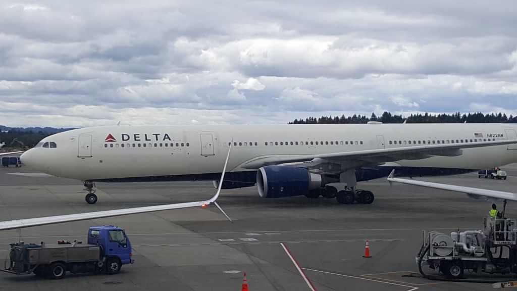 Airbus A330-300 (N822NW)