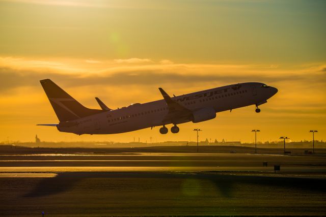 Boeing 737-800 (C-GOCD)