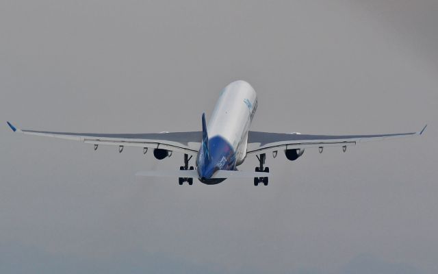 Airbus A330-300 (C-GTSO) - air transat c-gtso dep shannon 8/9/14.