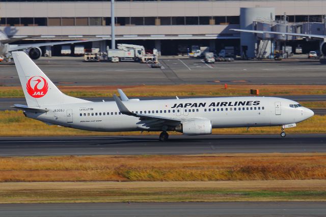 Boeing 737-800 (JA309J)