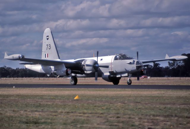 VH-IOY — - LOCKHEED SP-2H NEPTUNE MR4 - REG VH-IOY / A89-273 (CN 726-7273) - MANGALORE AIRPORT VIC. AUSTRALIA - YMNG (22/4/1984)