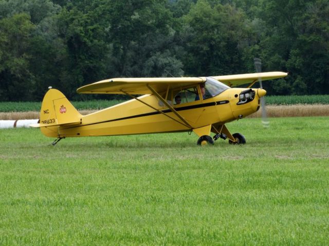 Piper L-14 Cub Cruiser (N38633)