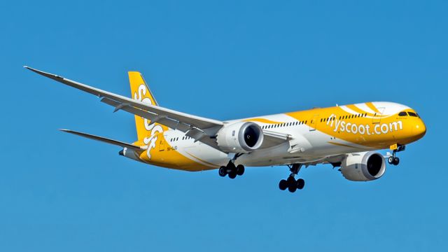 Boeing 787-9 Dreamliner (9V-OJD) - Boeing 787-9 Scoot 9V-OJD 12/01/19