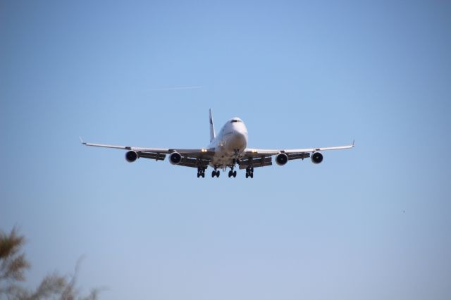 BOEING 767-300 (4X-ELE)