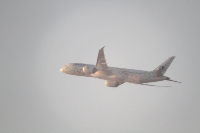 Boeing 787-9 Dreamliner (XA-ADL) - DEPARTURE FROM 27 MMTJ