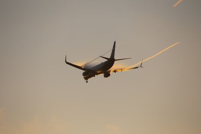 Boeing 737-900 (N494AS)
