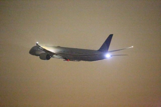 BOEING 787-10 Dreamliner —