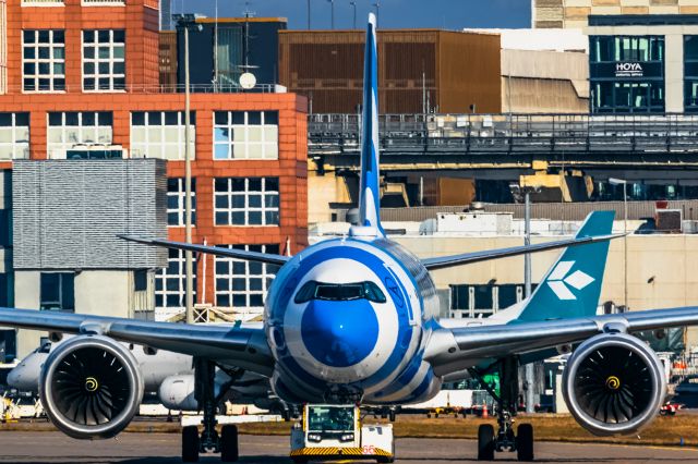 Airbus A330-900 (D-ANRF)