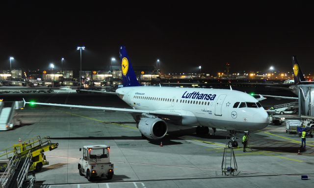 Airbus A319 (D-AILS) - Lufthansa Heide Airbus A319-114 D-AILS in Frankfurt