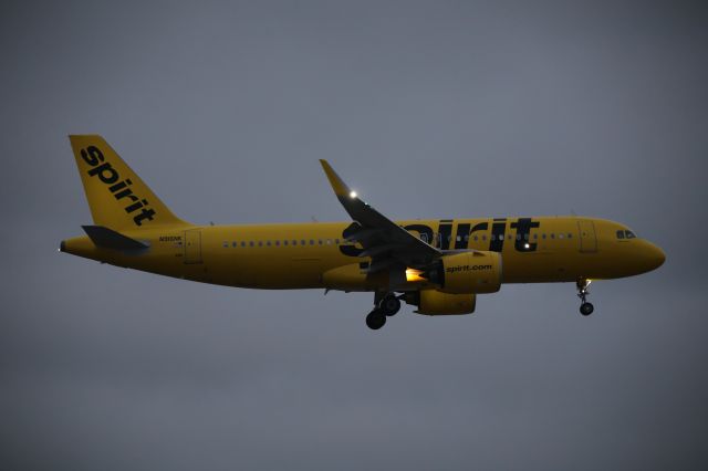 Airbus A320neo (N916NK)
