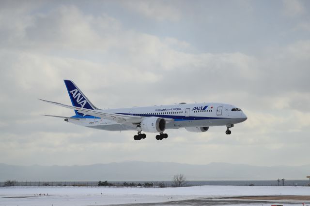 Boeing 787-8 (JA817A) - January 2nd 2020:HND-HKD.