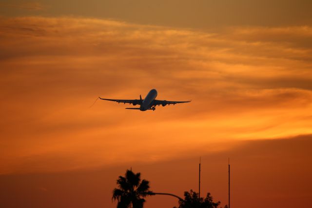 Airbus A330-200 (N399HA)