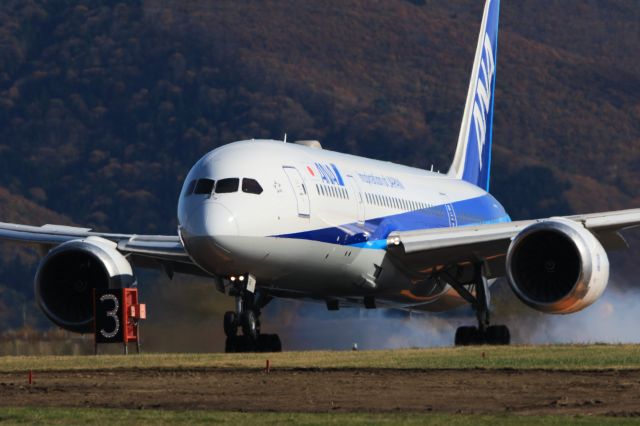 Boeing 787-8 (JA811A) - December 4th 2019:HND-HKD.