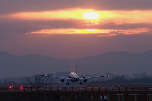 BOEING 767-300 (JA8674) - ゆめジェット