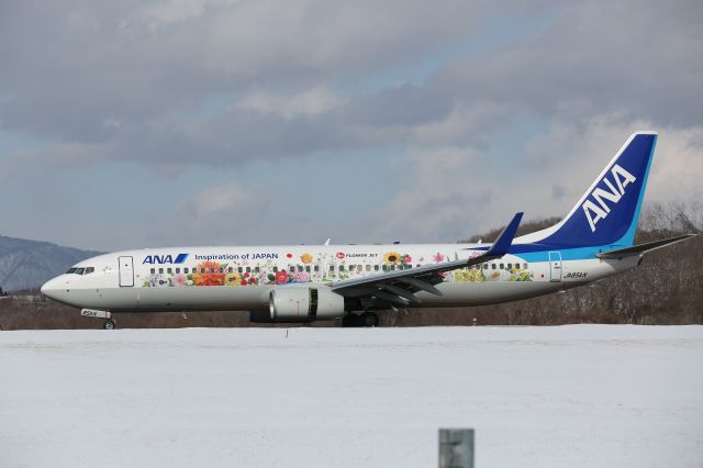 Boeing 737-800 (JA85AN) - 25 February 2017:HND-HKD.