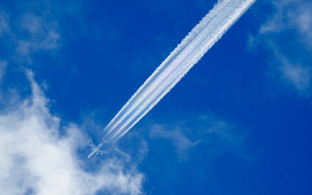 Airbus A340-600 (EC-LFS)