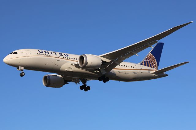 Boeing 787-8 (N45905) - Landing.