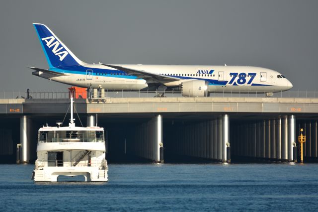 Boeing 787-8 (JA817A)