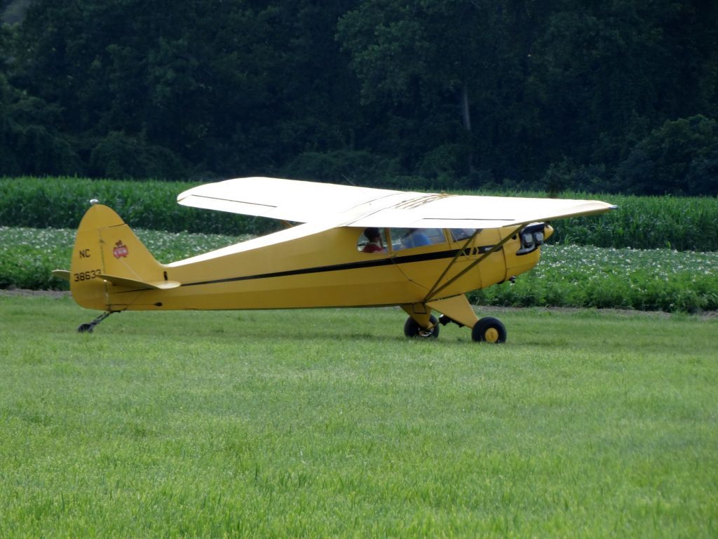 Piper L-14 Cub Cruiser (N38633)