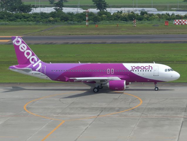 Airbus A320 (JA828P) - Sendai(SDJ) 2019/07/30