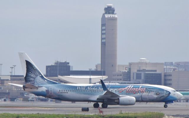 Boeing 737-800 (N559AS)