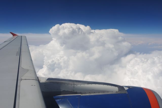 Airbus A321 (VQ-BEA) - In flight. Above Lithuania