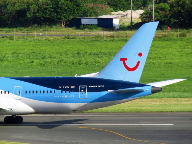 Boeing 787-8 (G-TUIG)