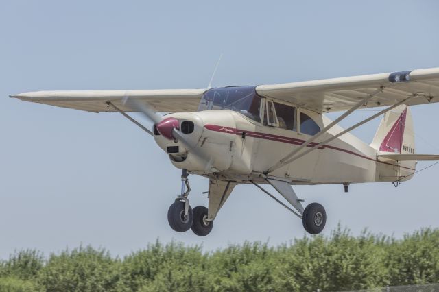 Piper PA-22 Tri-Pacer (N8706C)