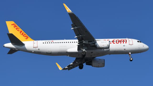 Airbus A320 (TC-DCG)