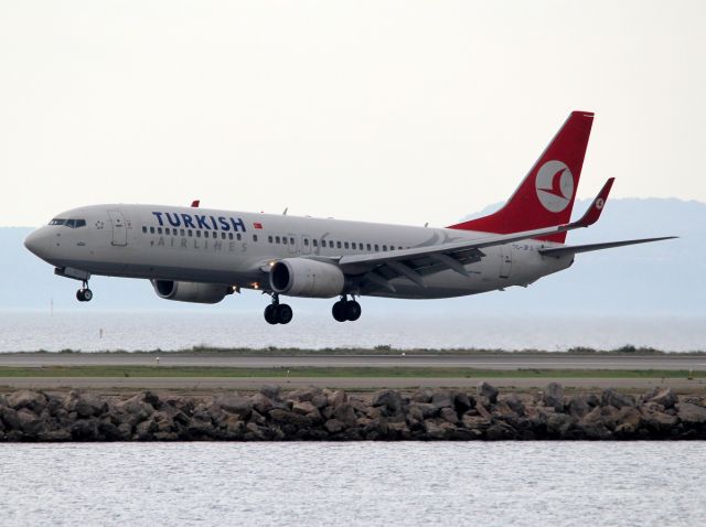 Boeing 737-800 (TC-JFJ)