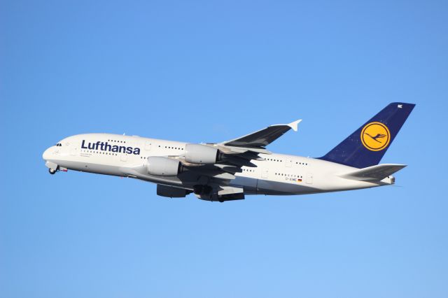 Airbus A380-800 (D-AIME)